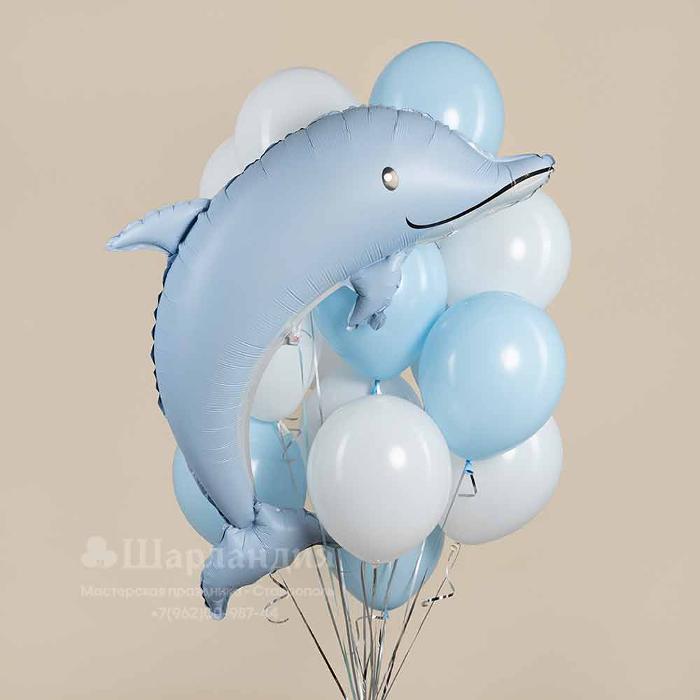 27418-1 Шары на выписку с дельфином в интернет-магазине Шарландия заказать в городе Ставрополе