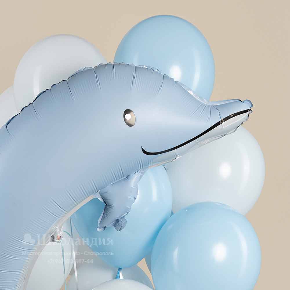 27418-2 Шары на выписку с дельфином в интернет-магазине Шарландия заказать в городе Ставрополе